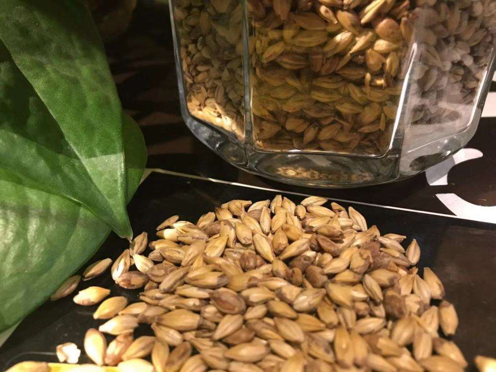 精釀啤酒設備,啤酒廠設備,開辦啤酒廠，浸麥