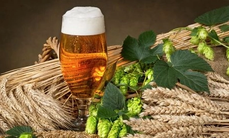 精釀啤酒設備,啤酒廠設備,開辦啤酒廠,發酵