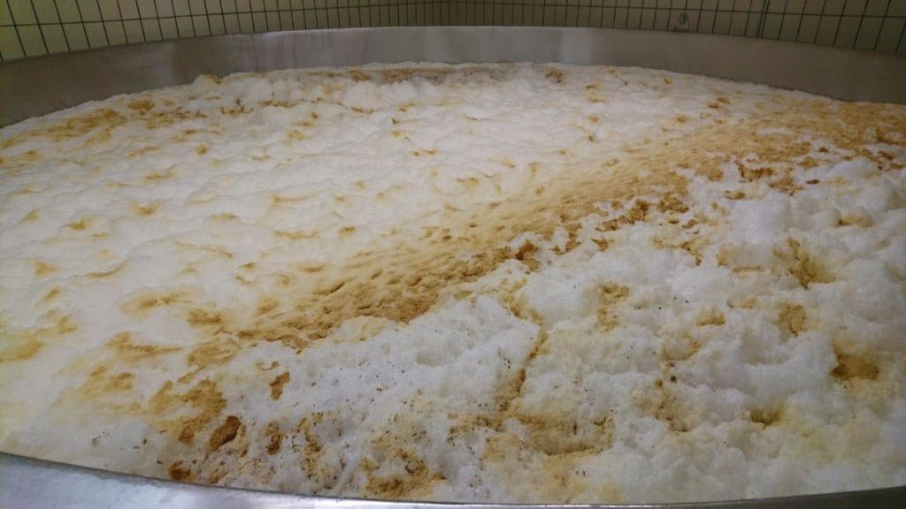 發酵啤酒可以不使用啤酒酵母嗎？